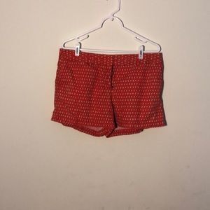 Shorts from Loft💋